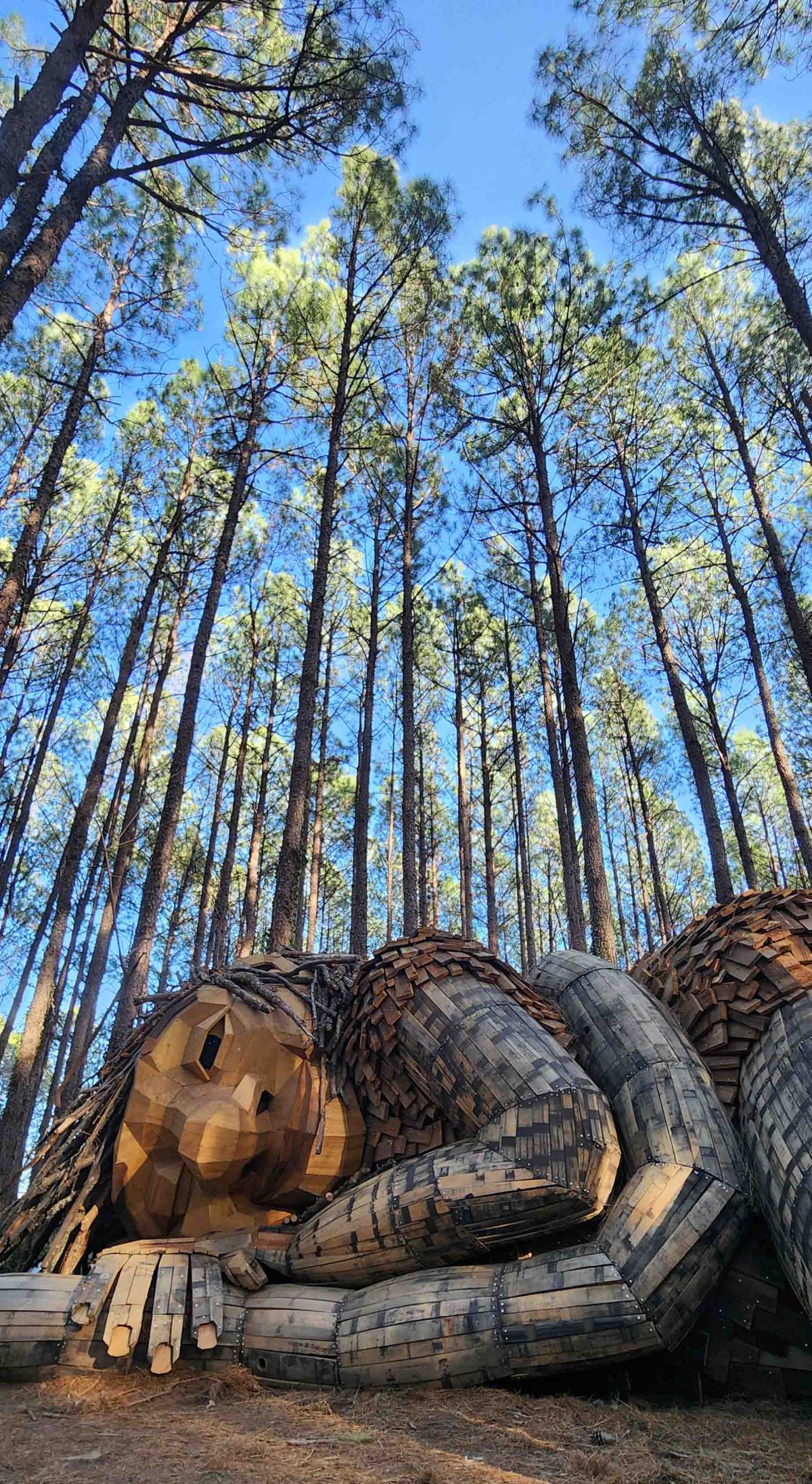 Exploring Dix Park’s Enchanting&nbsp;Trolls